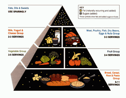 usda food pyramid 2011. USDA Food Guide Pyramid