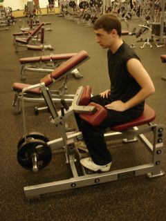 Seated calf raises -- starting position 